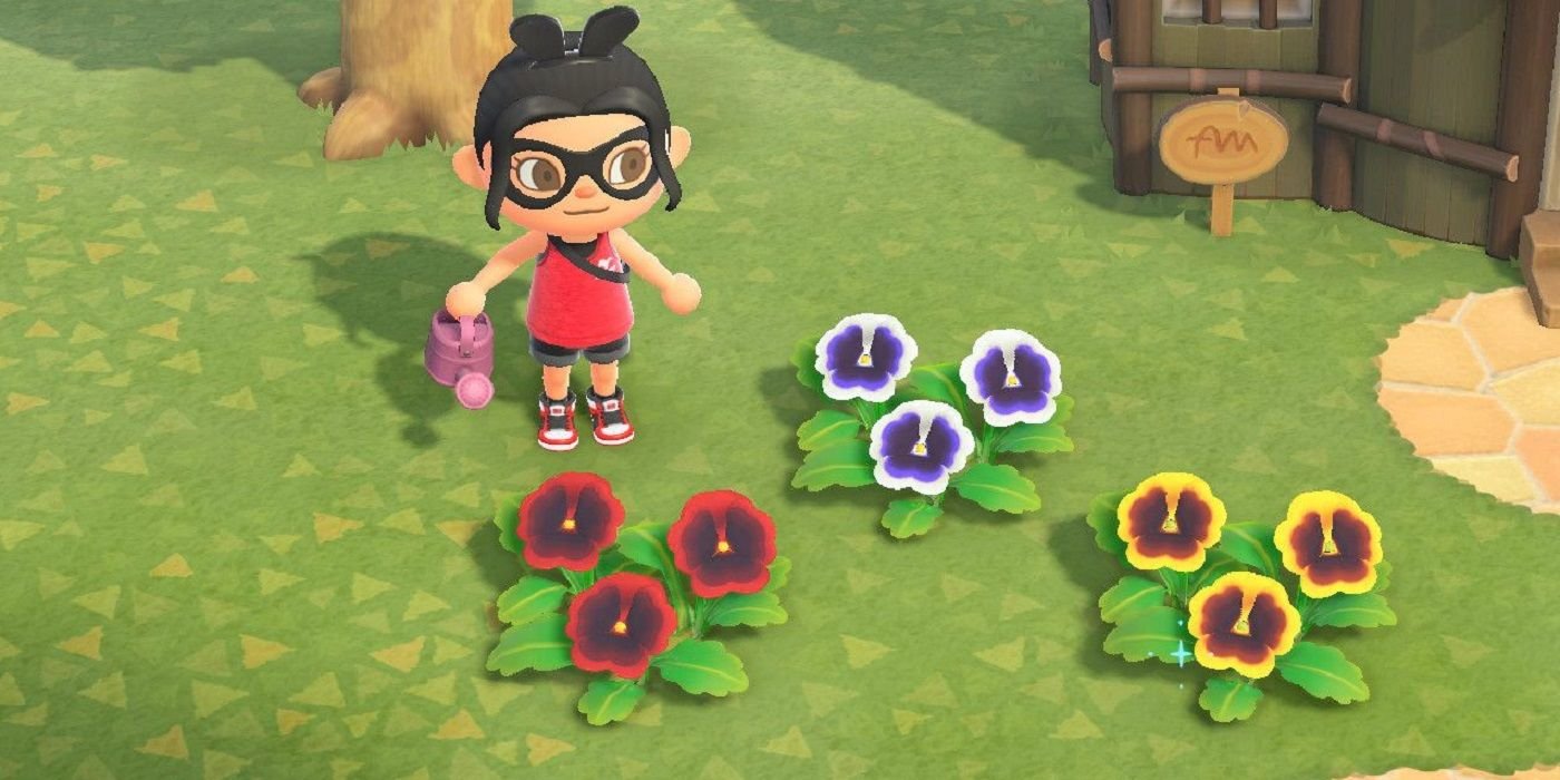 Animal Crossing Pansies