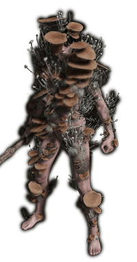 1732554036 225 All Status Effects How They Expanded In Shadow Of