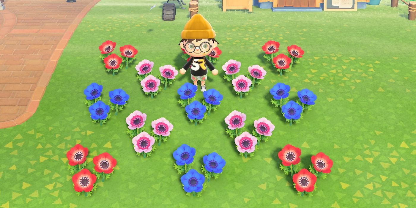 Every Flower Type How To Get Them