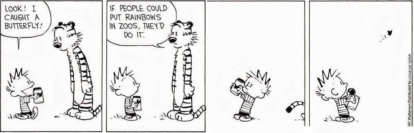 10 Calvin and Hobbes Comics All About the Call of Nature 6 Calvin and Hobbes releasing a butterfly from a jar.