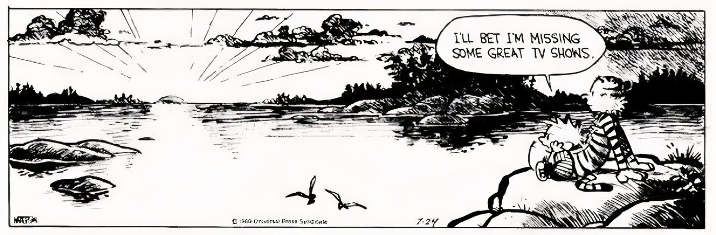 10 Calvin and Hobbes Comics All About the Call of Nature 9 Calvin and Hobbes watching a sunset.