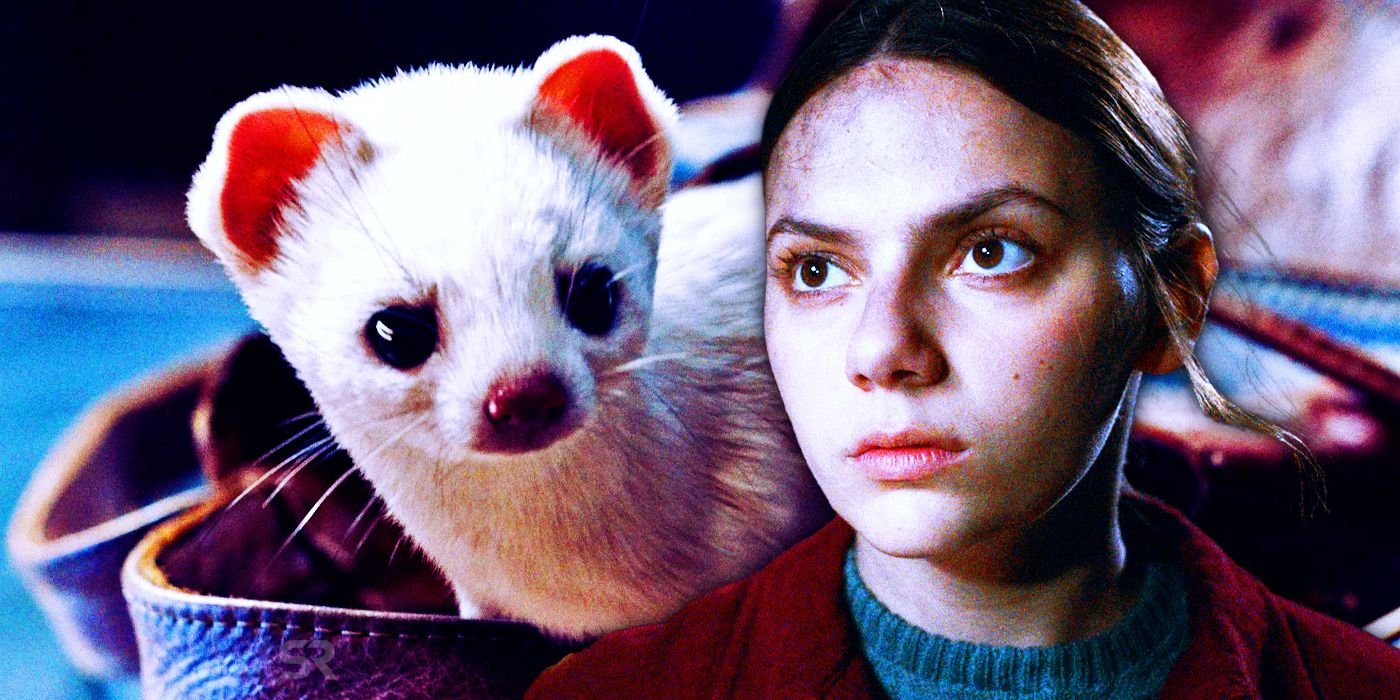 Dafne Keen's 10 Best Moments From His Dark Materials, Ranked 5 why-pantalaimon-settles-as-pine-marten-his-dark-materials