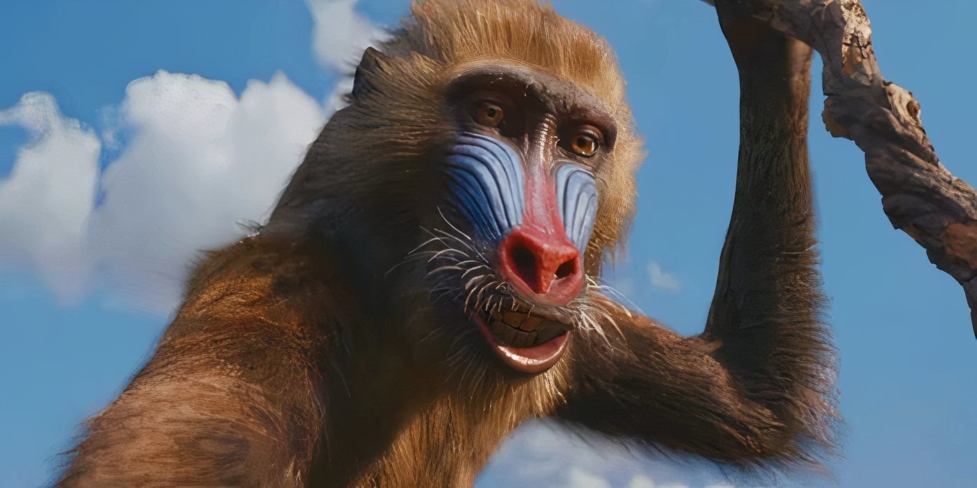 Mufasa Completely Flips The Lion King's Core & Is Better For It 5 Young Rafiki looking downward in Mufasa The Lion King