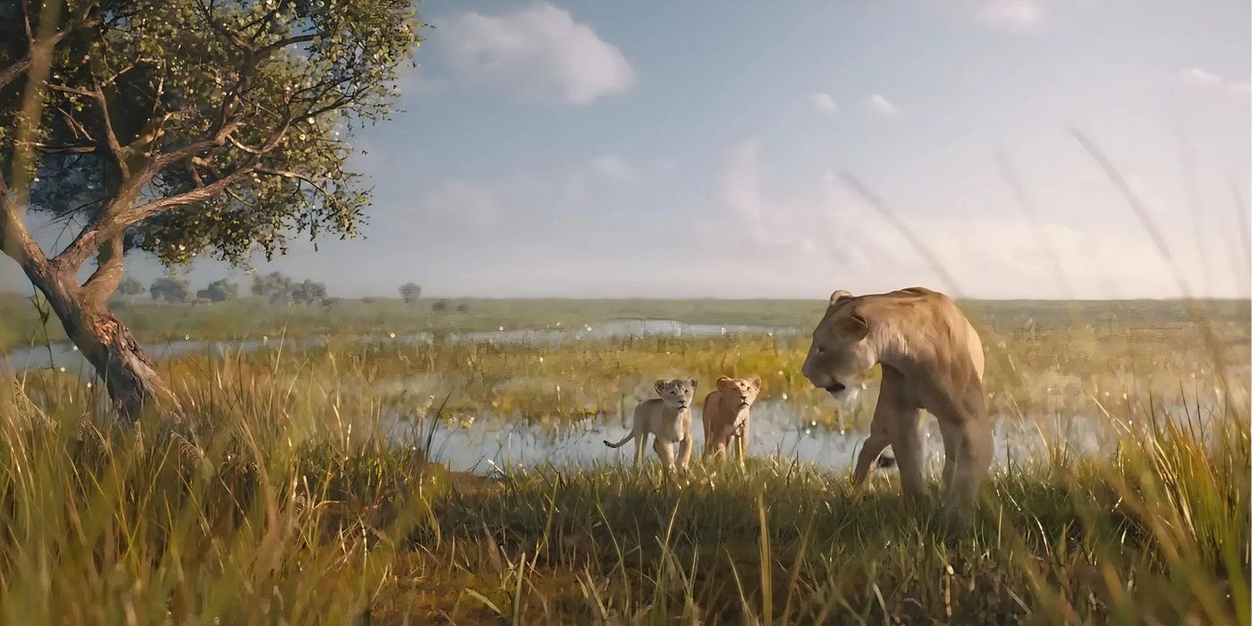 Mufasa The Lion King Eshe Cubs