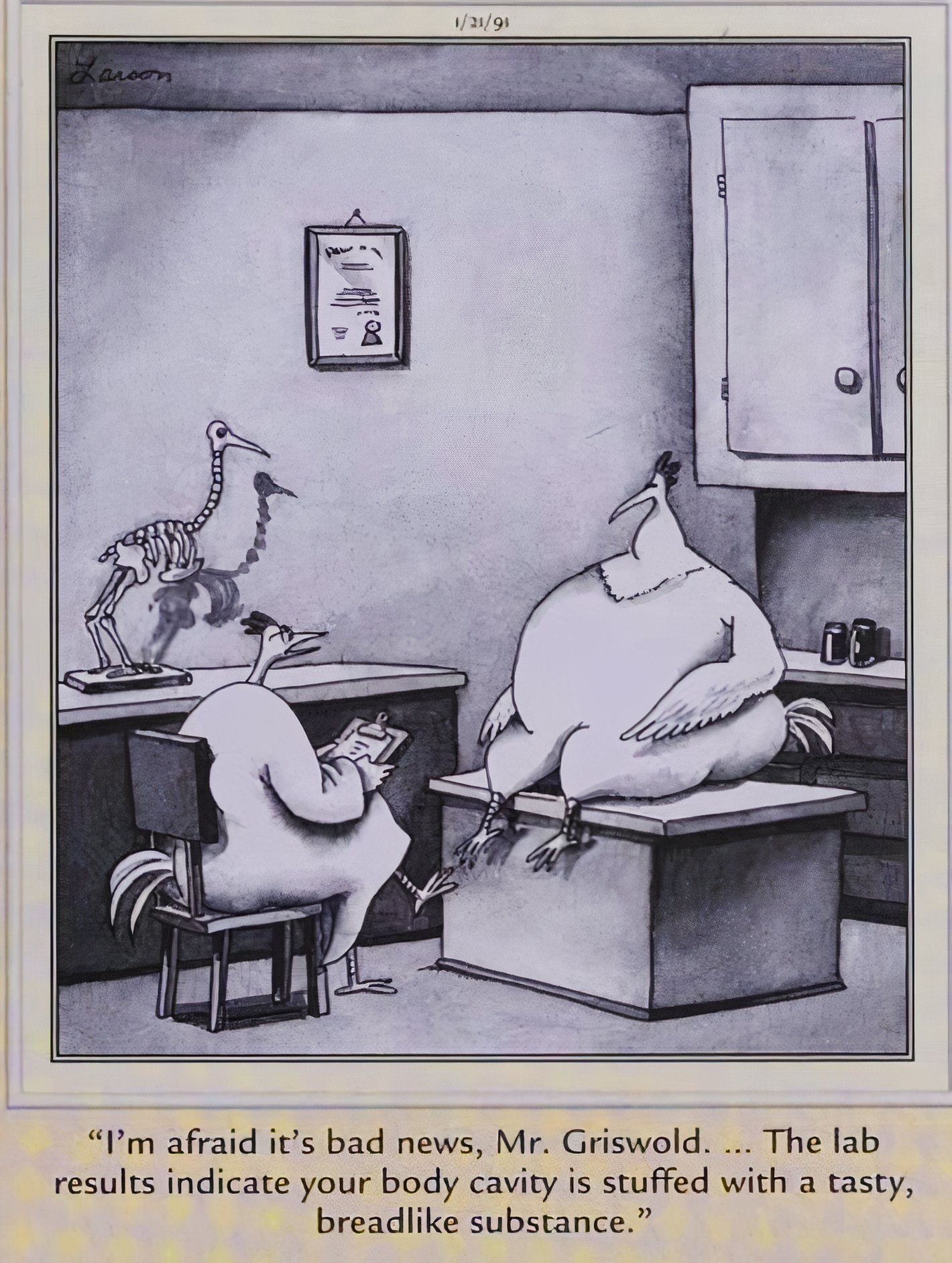 Far Side, January 21, 1991, a chicken doctor informs his patient she's full of stuffing