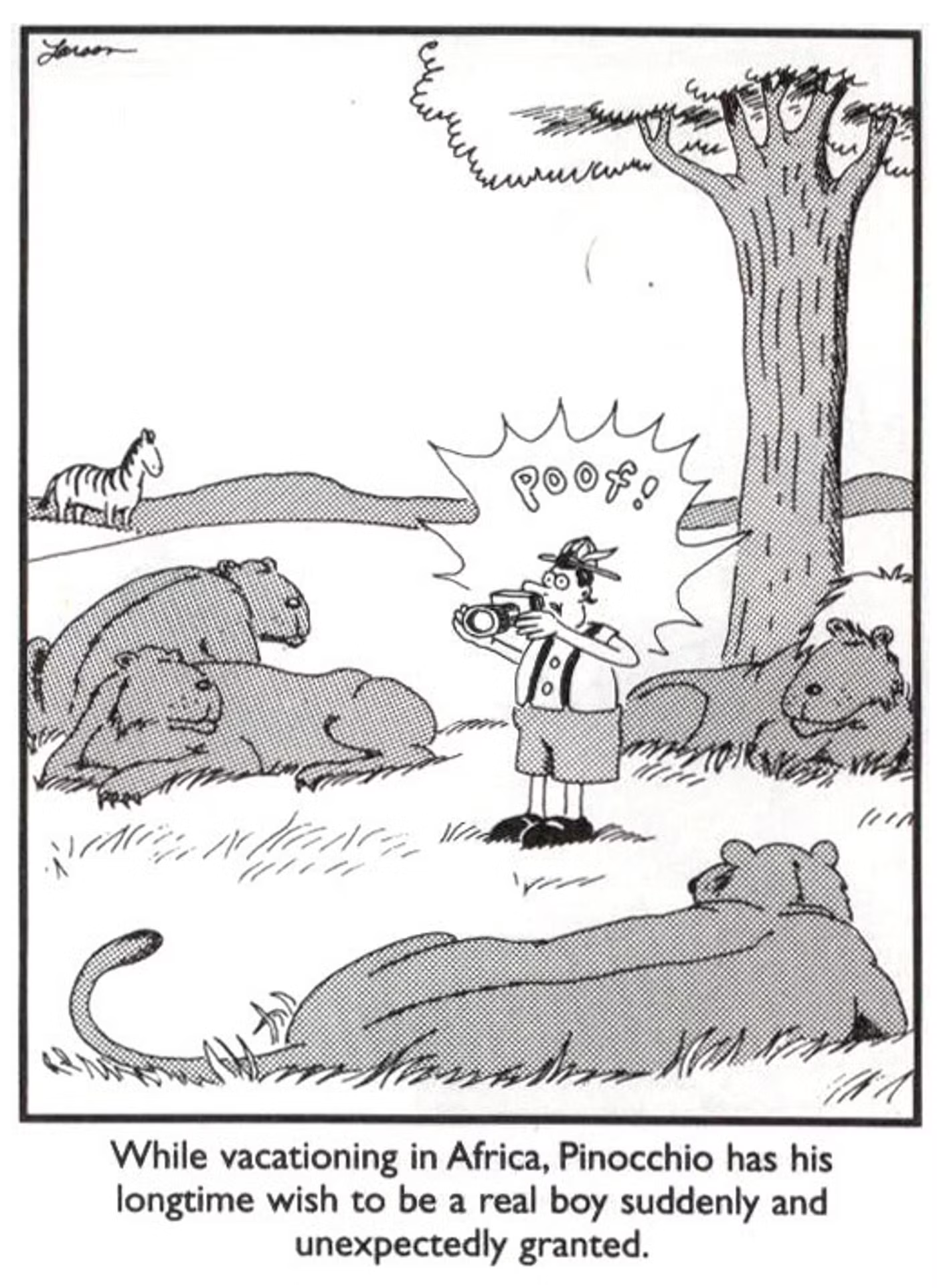 The Far Side, Pinocchio being surrounded by lions.