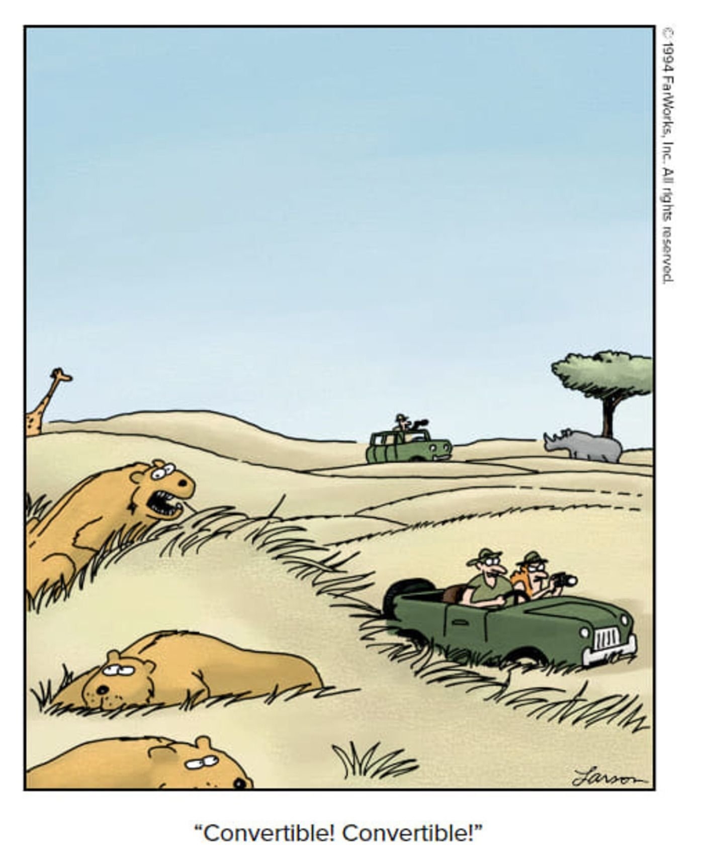 The Far Side, lions calling out a convertible driving by.