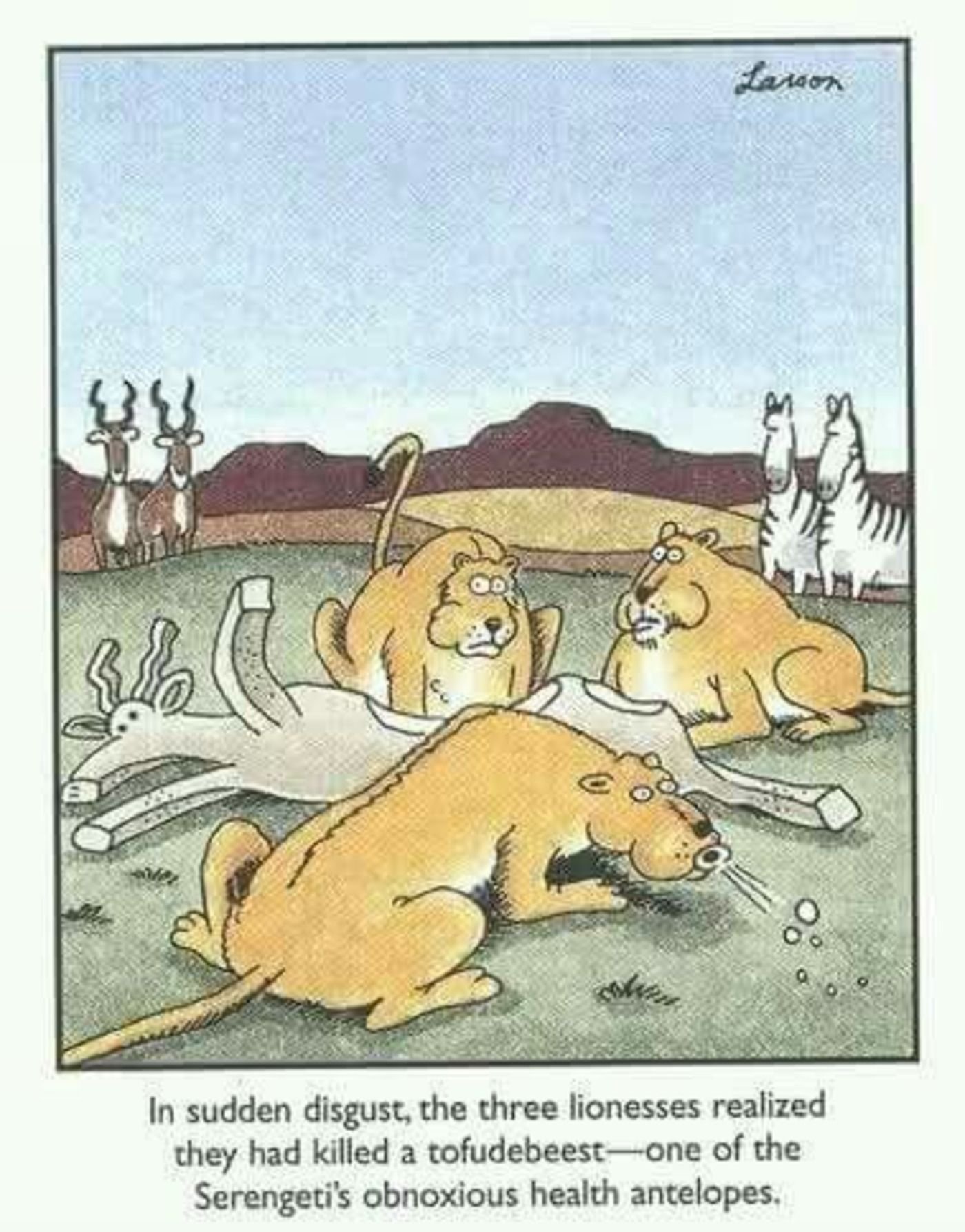 The Far Side, lions eating tofu in the shape of an animal.