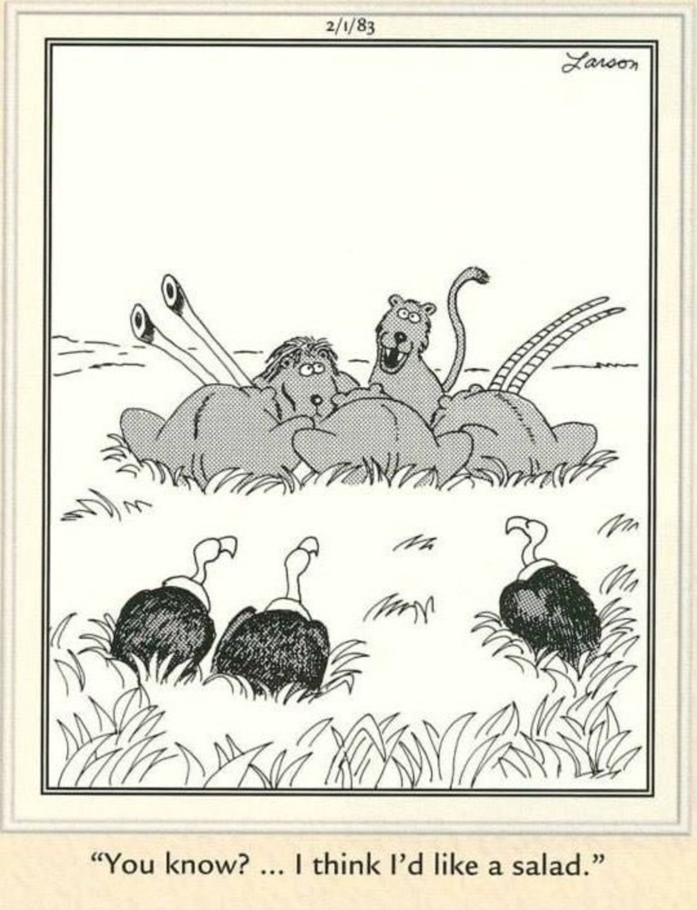The Far Side, vultures watching lions eat prey.