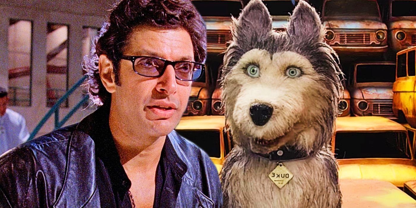 10 Actors Who Appear In Wes Anderson's Movies The Most, Ranked By Appearance Count 3 Jeff-Goldblum