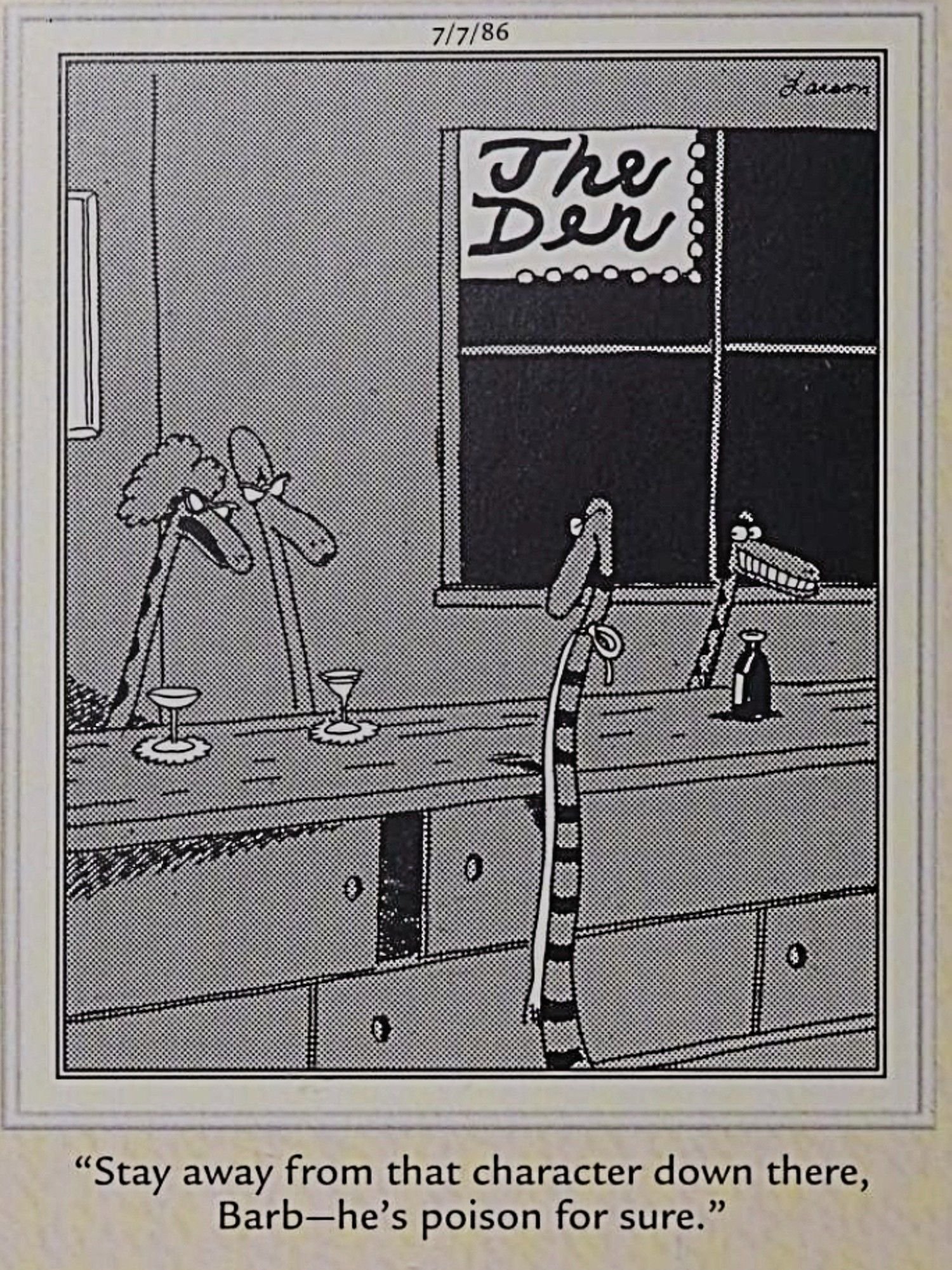 Far Side snakes at a bar; "stay away from that character down there, Barb -- he's poison for sure"