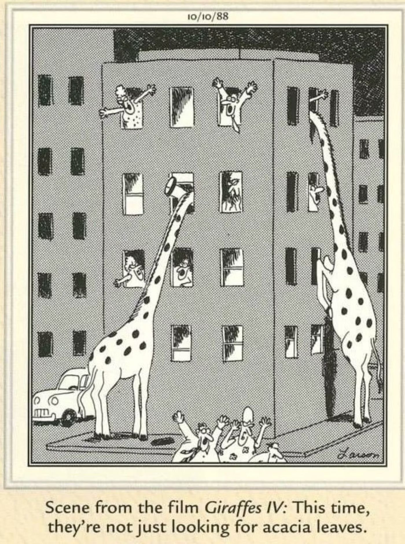 The Far Side: "scene from the film Giraffe IV"