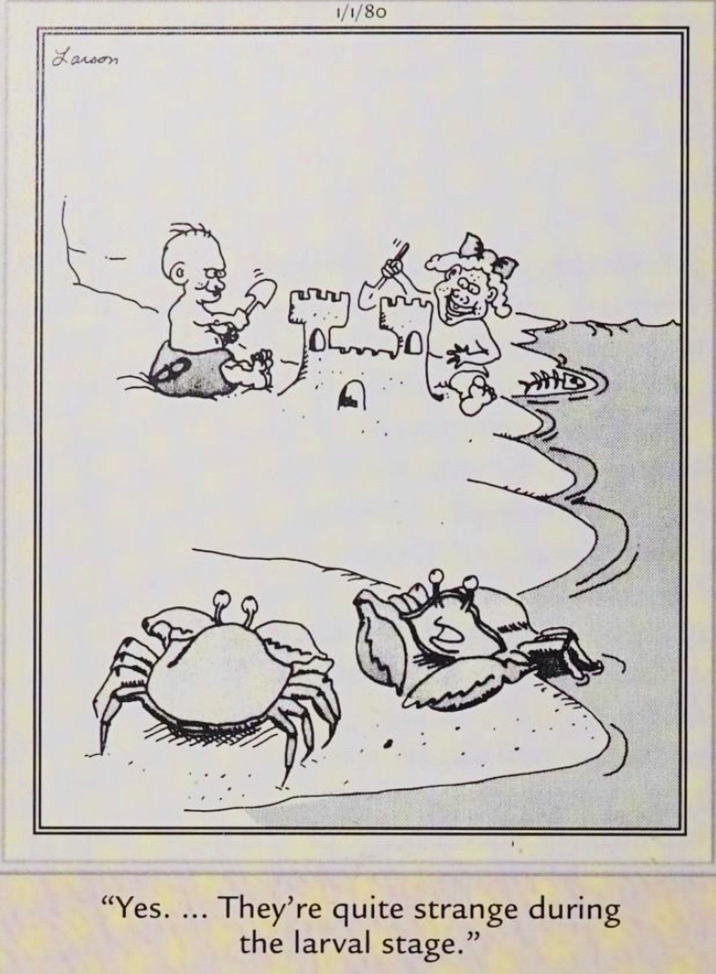 Far Side, January 1, 1980, crabs look at human children and think they look strange