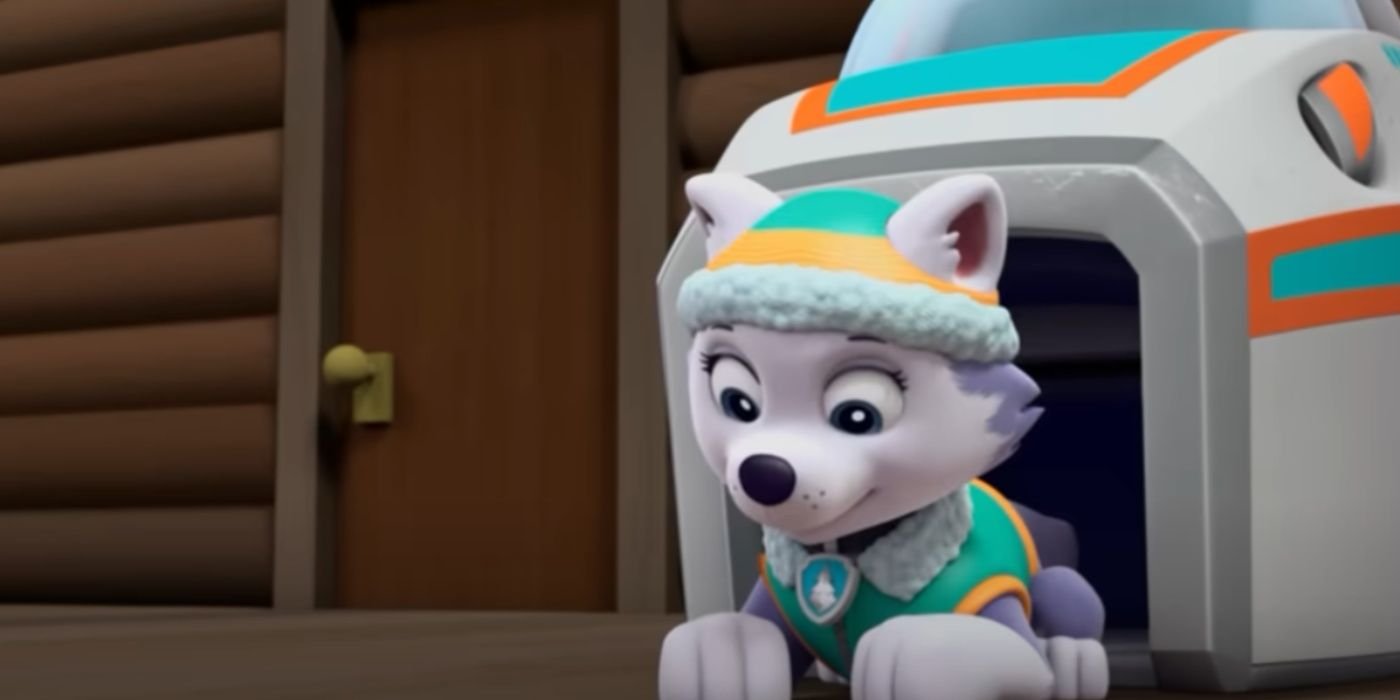 Paw Patrol Everest in house looking down