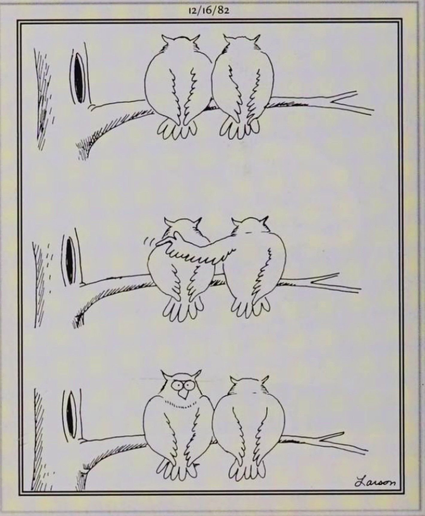 Far Side, December 16, 1982, one owl pranks another by tapping it on thw shoulder