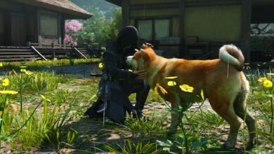 Every Animal Location In Assassin's Creed Shadows