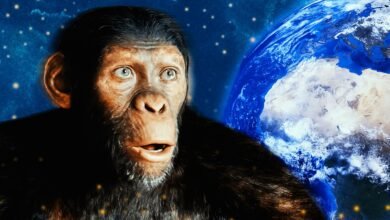 What Happened To Earth In The Original Planet Of The Apes Movies