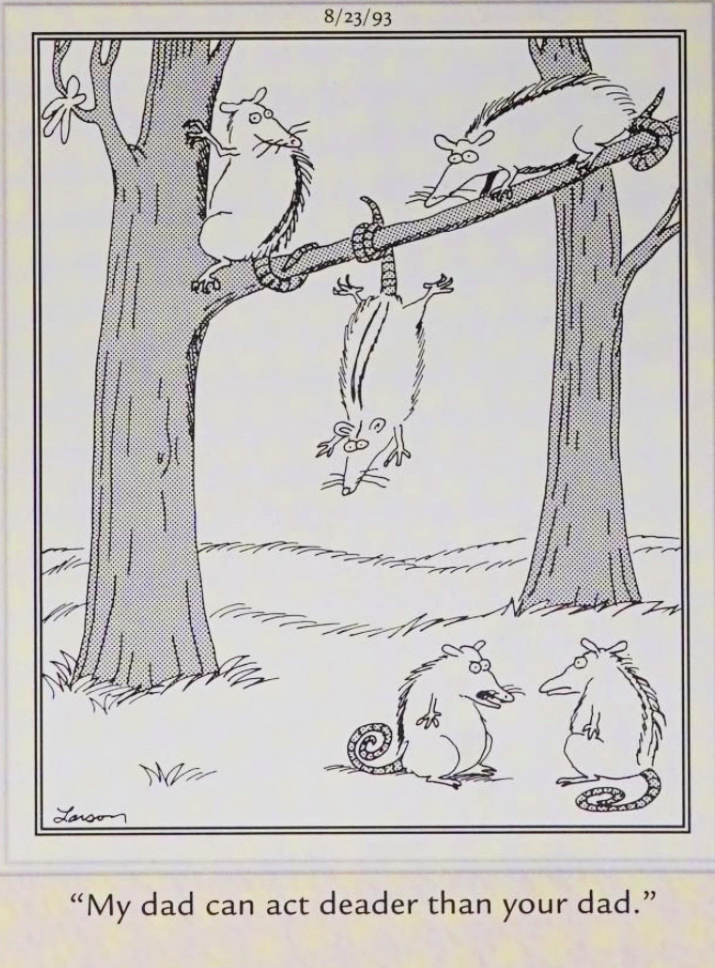 Far Side, August 23, 1993, opposum kids argue over whose dad can play dead better