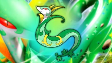 Pokémon TCG Reveals First Cards For "Black Bolt" And "White Flare" Sets, & The Serperior Has Some Fans In An Uproar