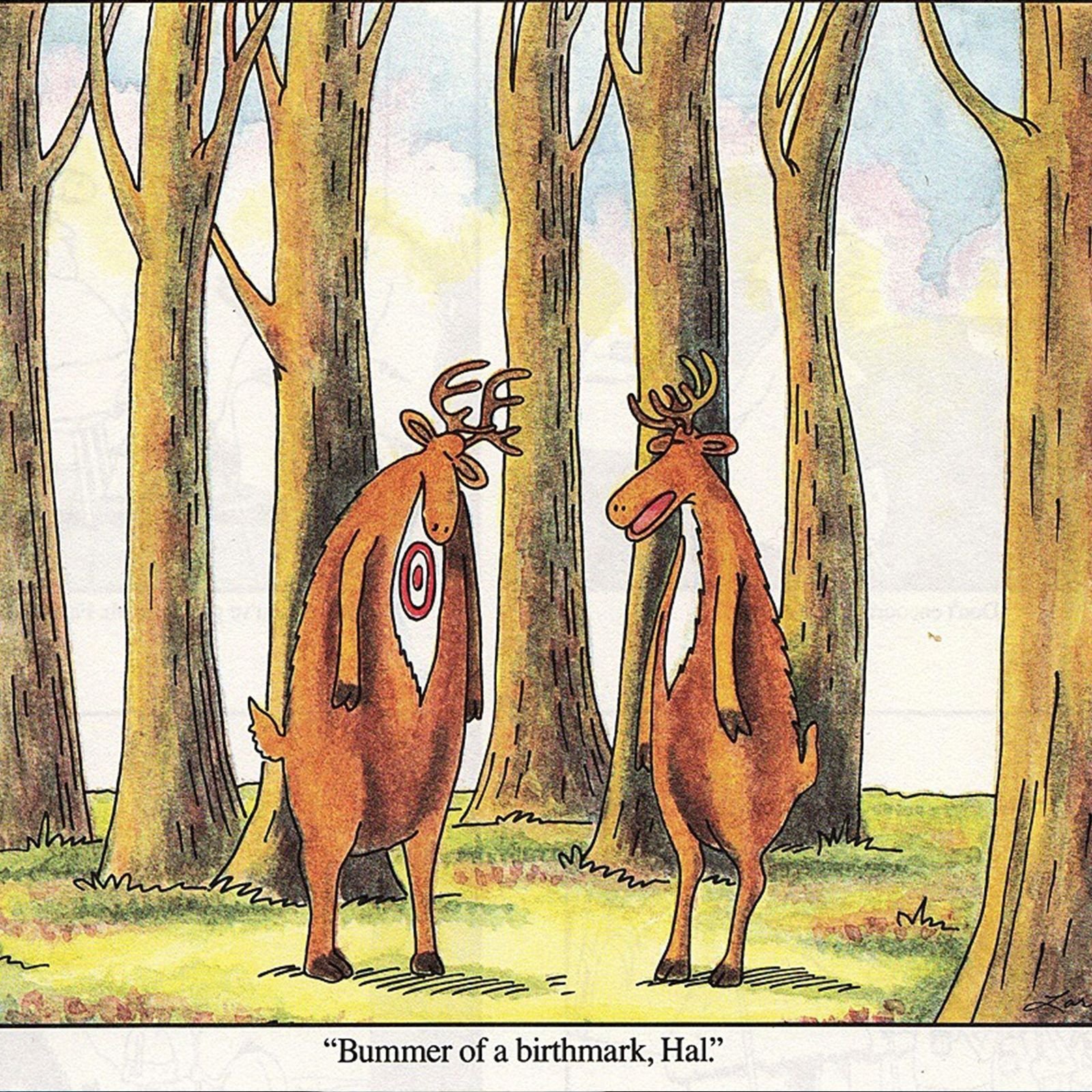 One deer talks to another deer with a bullseye birthmark on its chest.