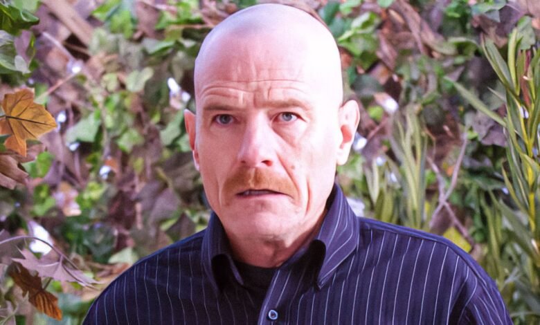 I Finally Get The Meaning Of Breaking Bad's Darkest Scene Thanks To Bryan Cranston 1 I Finally Get The Meaning Of Breaking Bad's Darkest Scene Thanks To Bryan Cranston