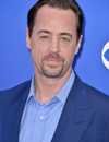 Headshot Of Sean Murray