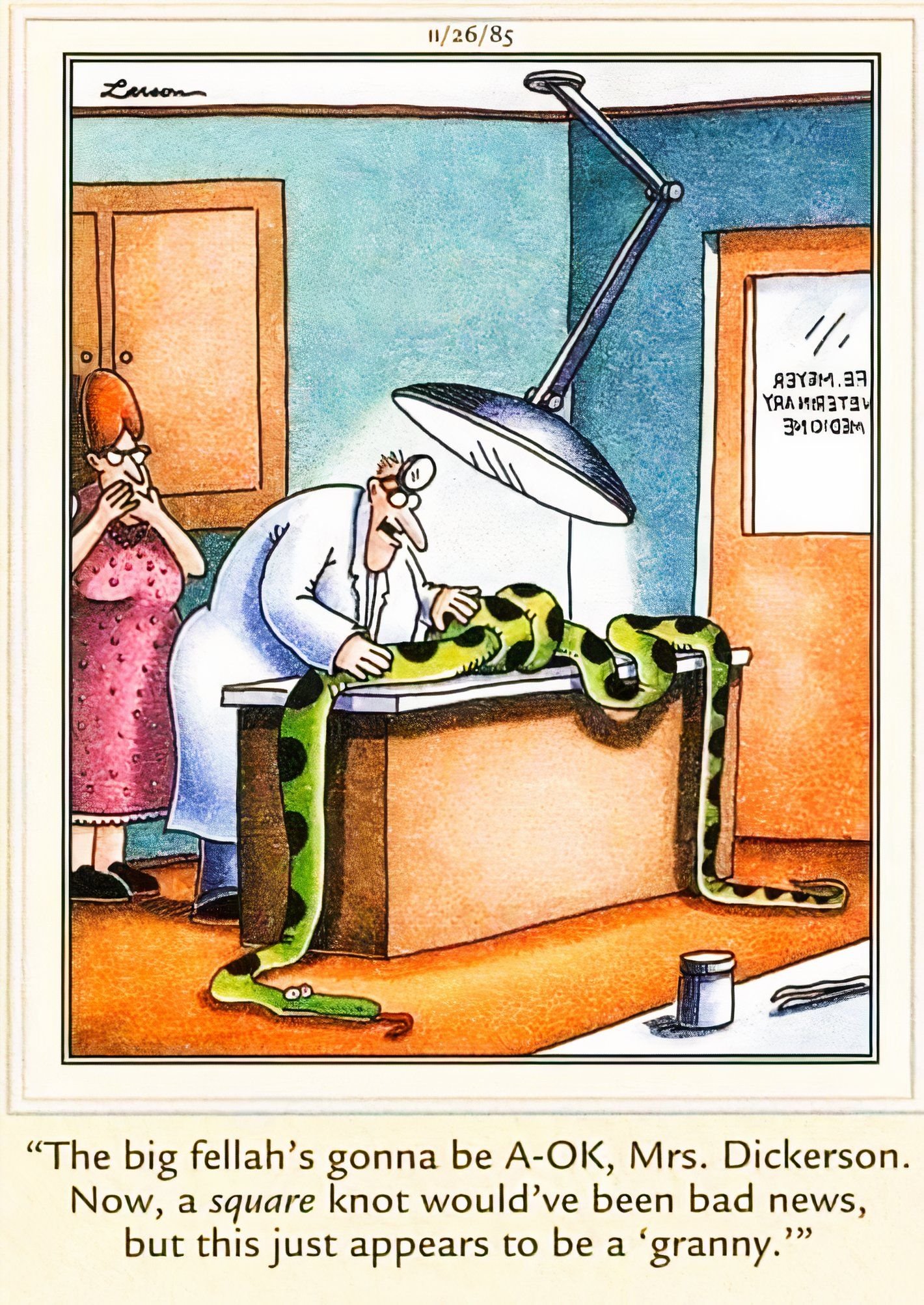 Far Side, November 26, 1985, a veterinarian tries to untangle a woman's pet python