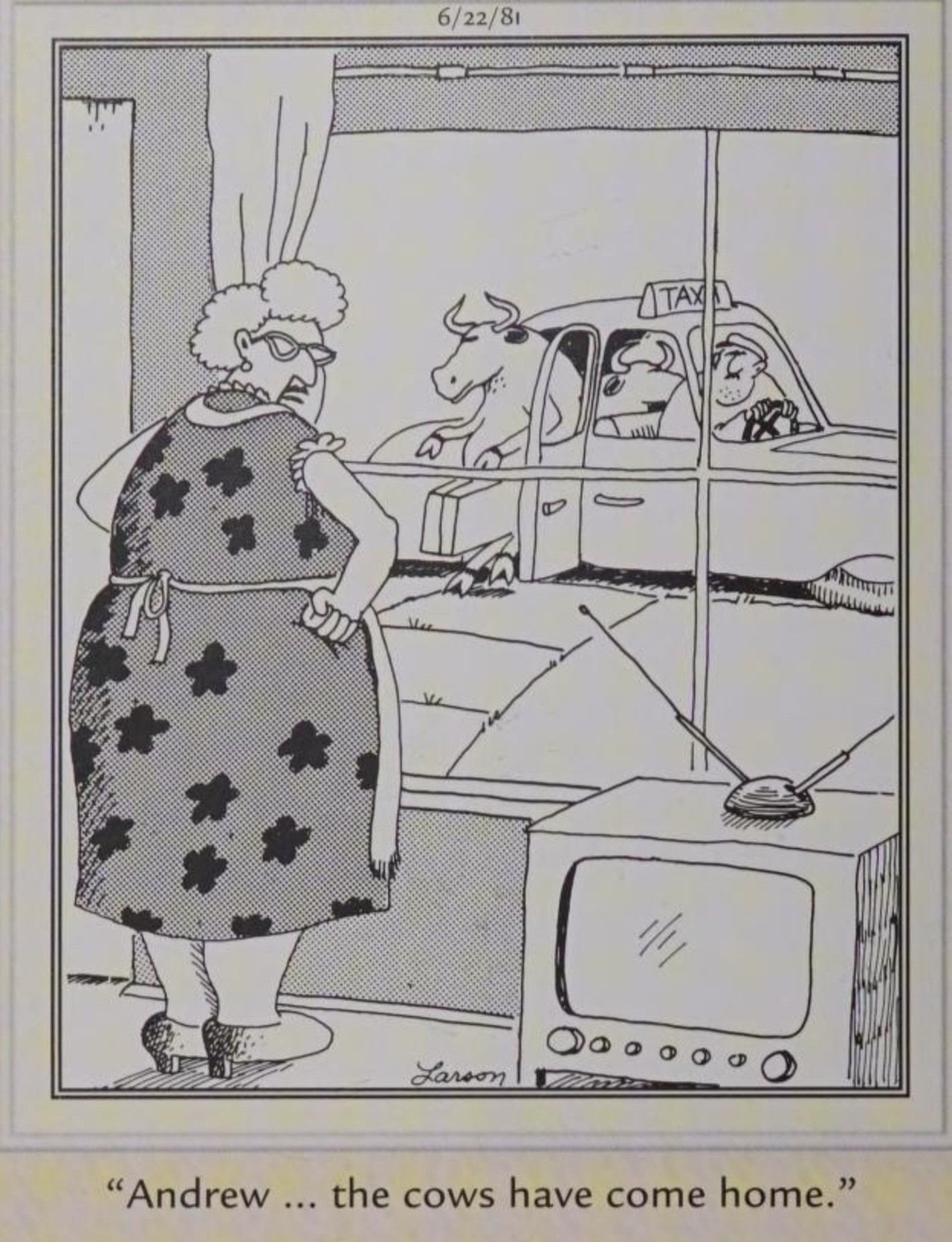 Far Side, June 22, 1981, a woman tells her husband 'the cows have come home'