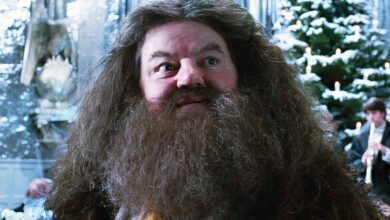 Harry Potter Remake Reveals First Look At Nick Frost's Hagrid