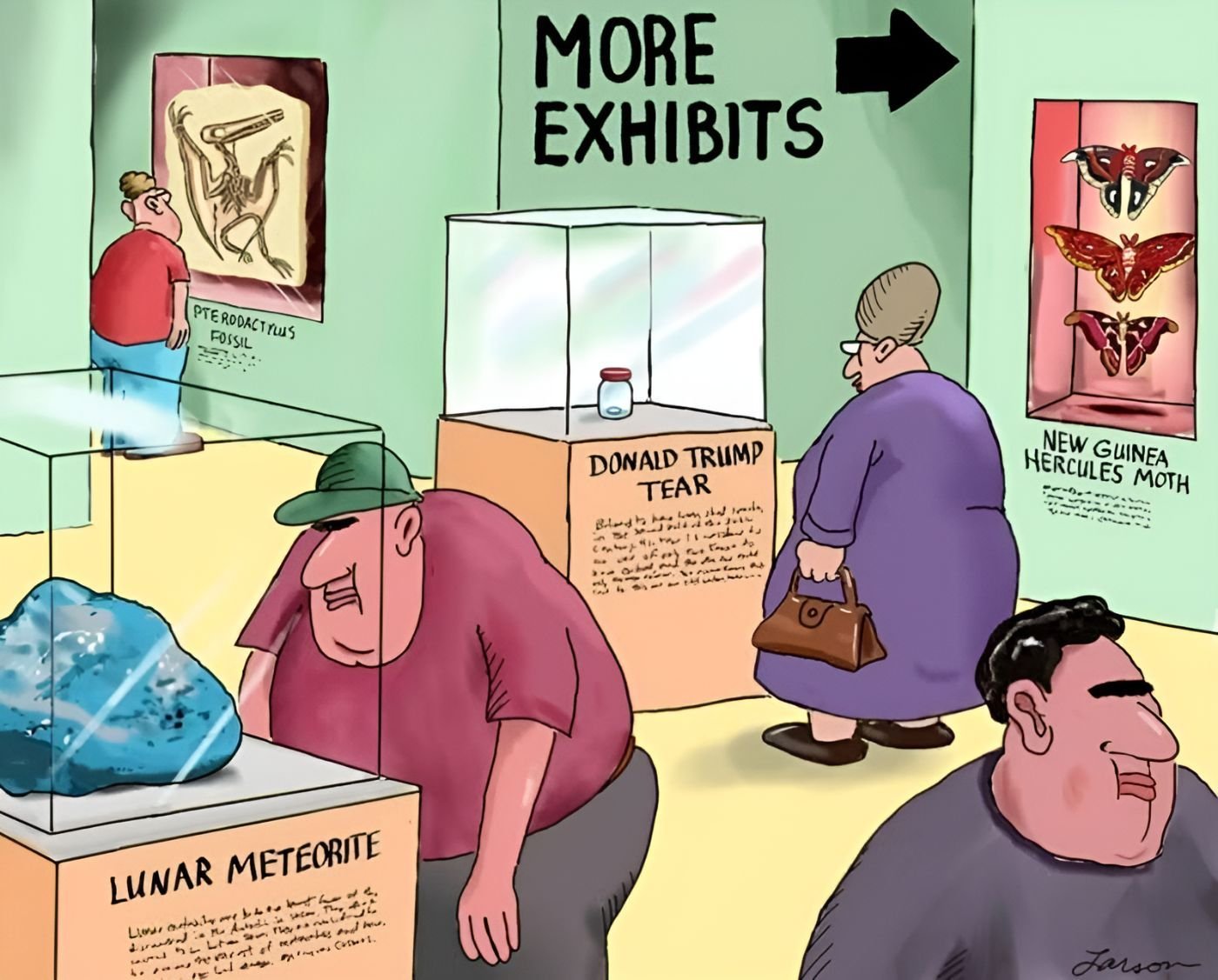 A woman looks at a museum exhibit of Donald Trump's single tear.