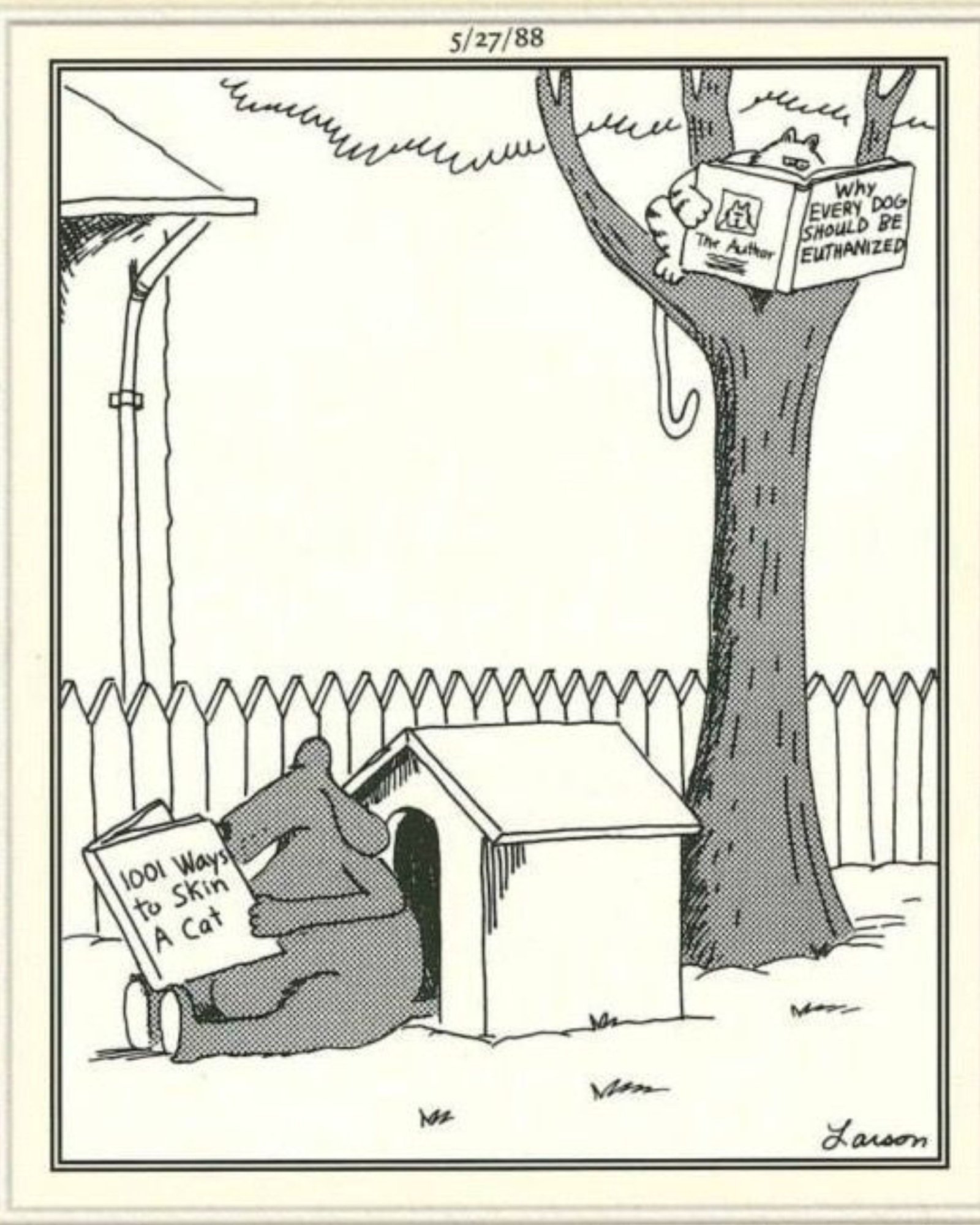 Far Side