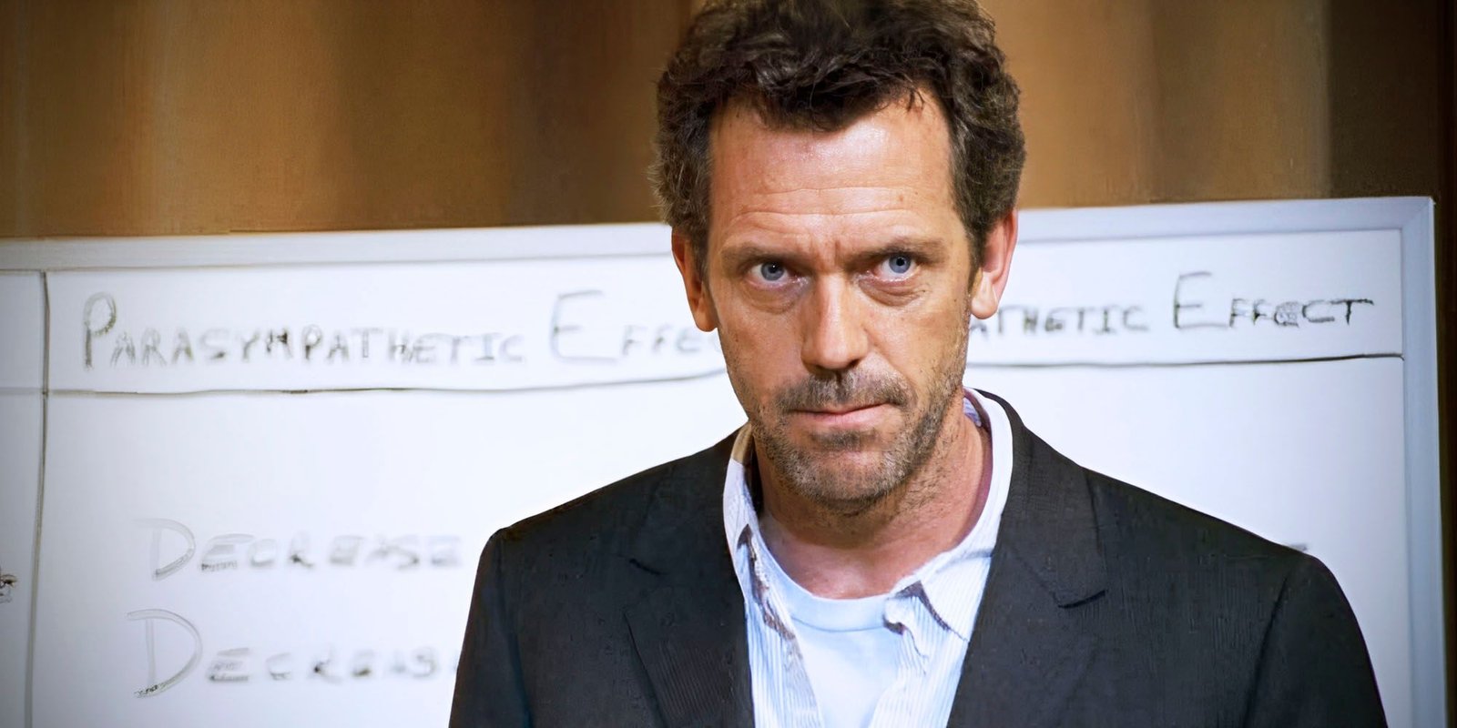 Hugh Laurie as House in "Three Stories"