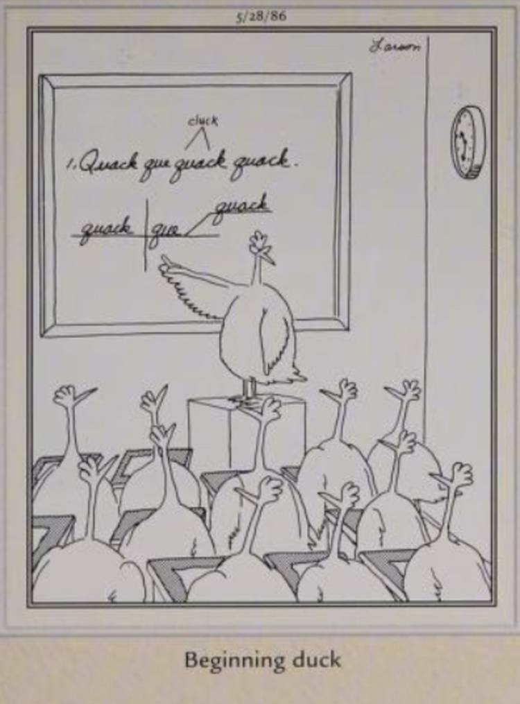 Far Side, May 28, 1986, chickens learning 'beginning duck'