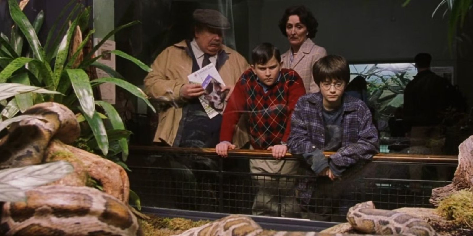 Harry Potter and the Dursleys looking at the snake cage at the zoo
