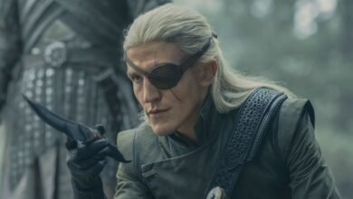 House Of The Dragon Season 3's New Stark Family Member Casting Reveals Major GRRM Book Changes
