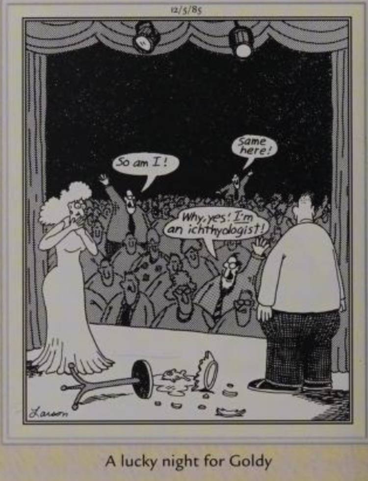 Far Side, December 5, 1985, a goldfish's bowl breaks on stage during a performance