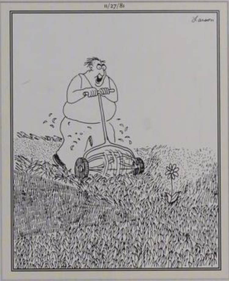 Far Side, November 27, 1981, a man smiles as he's about to mow down a flower