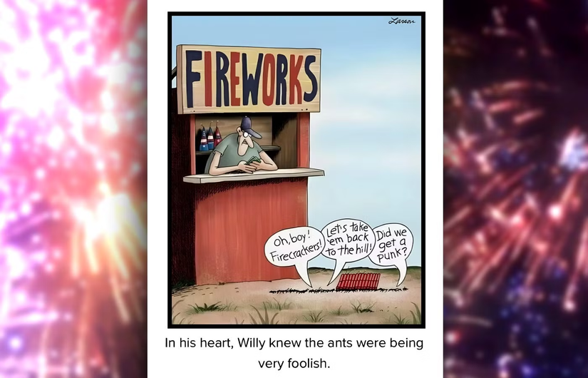 fireworks far side