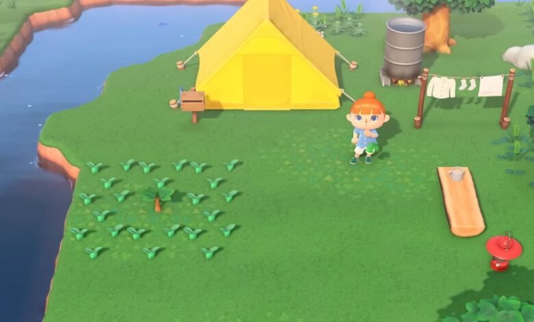 One Island Per Switch Was Bad, But This Animal Crossing Switch 2 Concern Is Even Worse 1 One Island Per Switch Was Bad, But This Animal Crossing Switch 2 Concern Is Even Worse