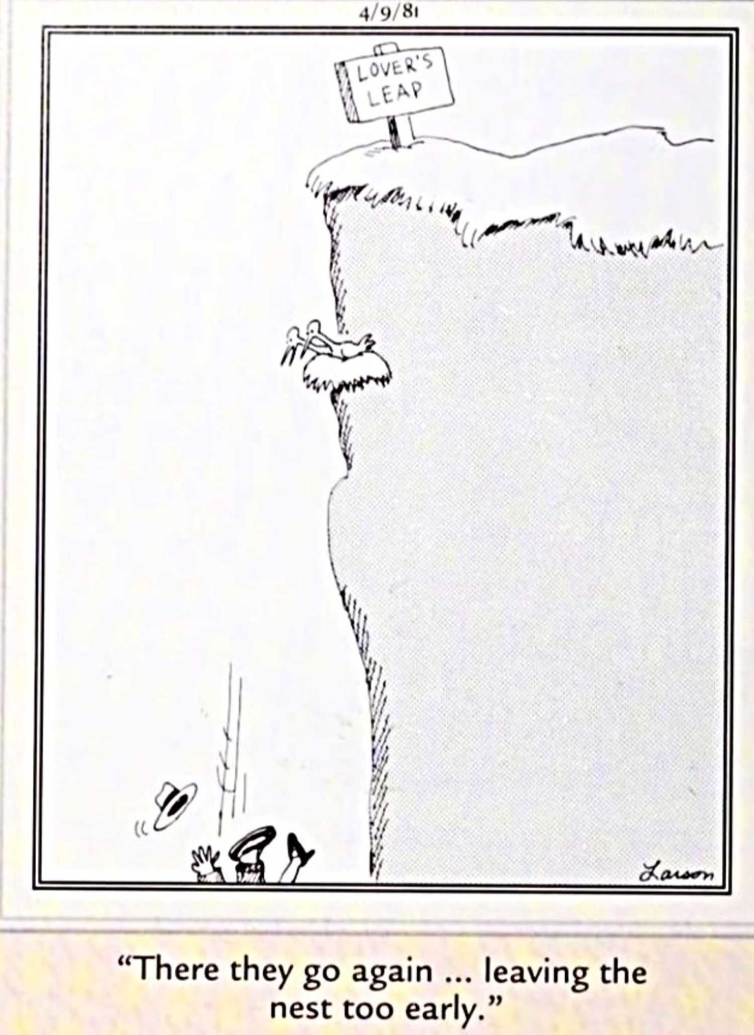 Far Side lover's leap cliff 