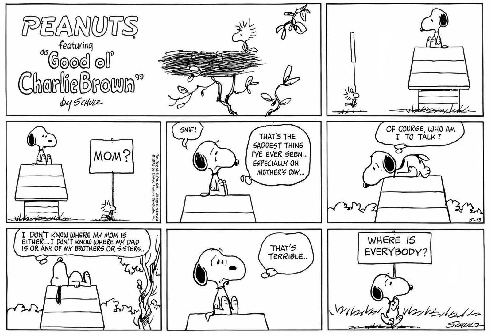 Snoopy Wondering Where His Family Is