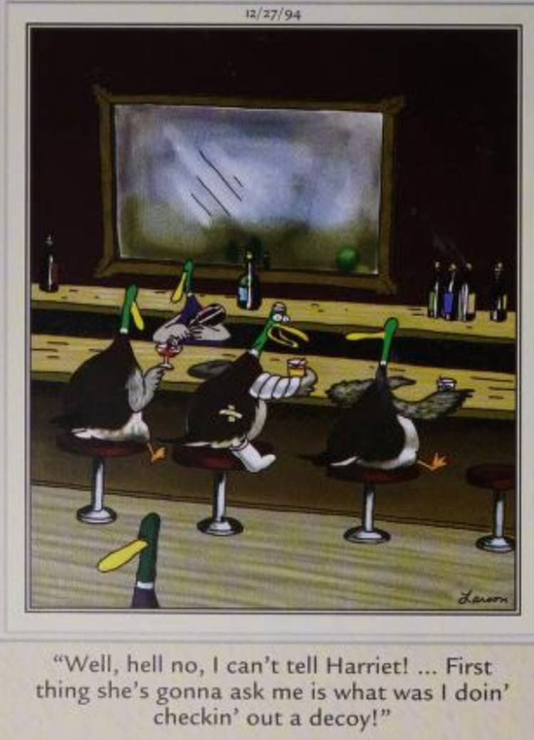 Far Side, December 27, 1994, a duck that has been shot says it can't tell its spouse why