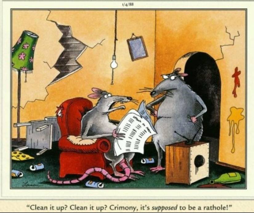 far side rat marriage problems