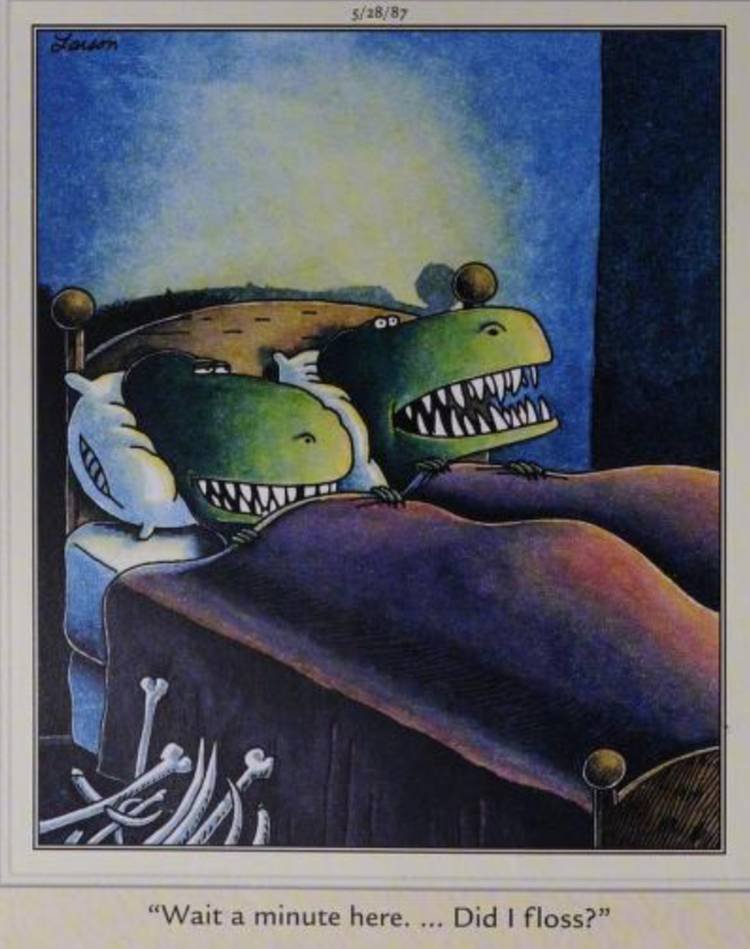 Far Side, May 28, 1987, dinosaur settles into bed wondering if it flossed or not