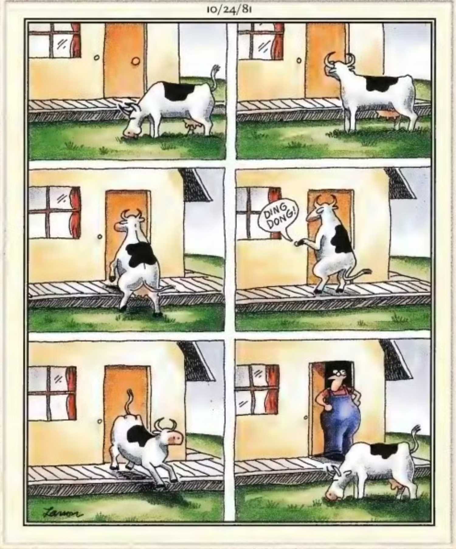 Far Side, October 4, 1981, a cow plays ding dong ditch
