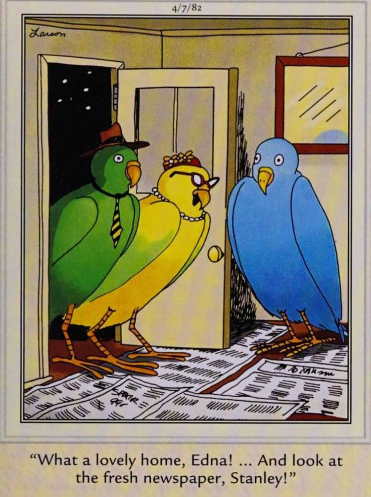 Far Side, April 7, 1982, a parakeet has other birds over its house