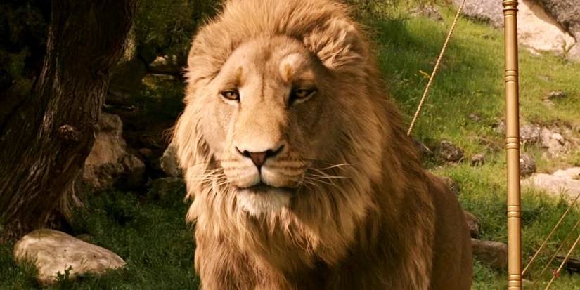Aslan looking regal in The Chronicles of Narnia