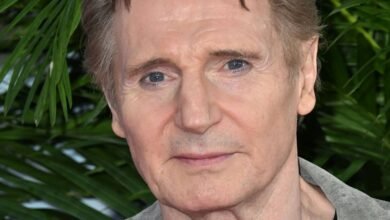 Liam Neeson's Movie Franchises Ranked From Worst To Best