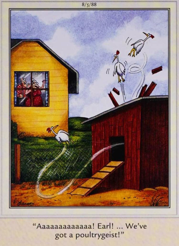 Far Side, August 5, 1988, a 'poultrygeist' sends a farmer's chickens flying