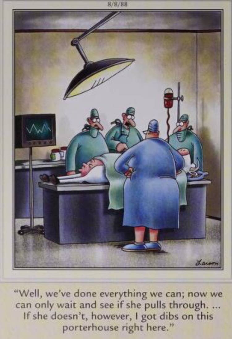 Far Side, August 8, 1988, human surgeons operate on a cow